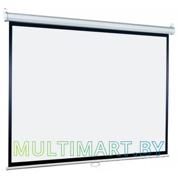Проекционный экран Lumien Eco Picture 142x200 (LEP-100117)